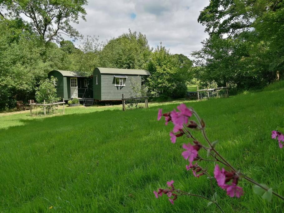 Penn Bergeyn Shepherd'S Huts Exeter Exteriör bild