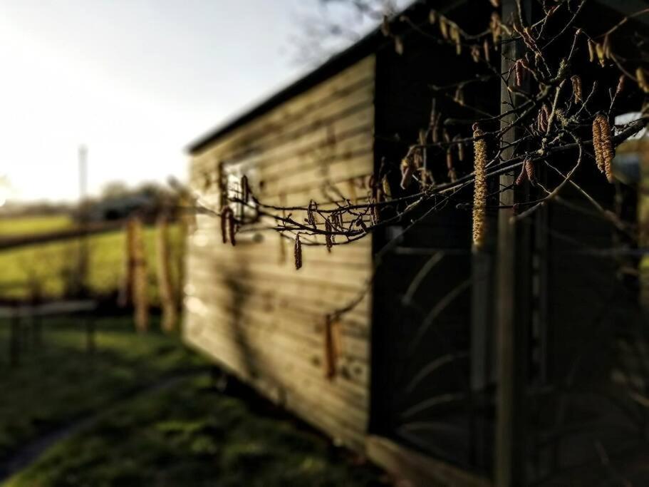 Penn Bergeyn Shepherd'S Huts Exeter Exteriör bild